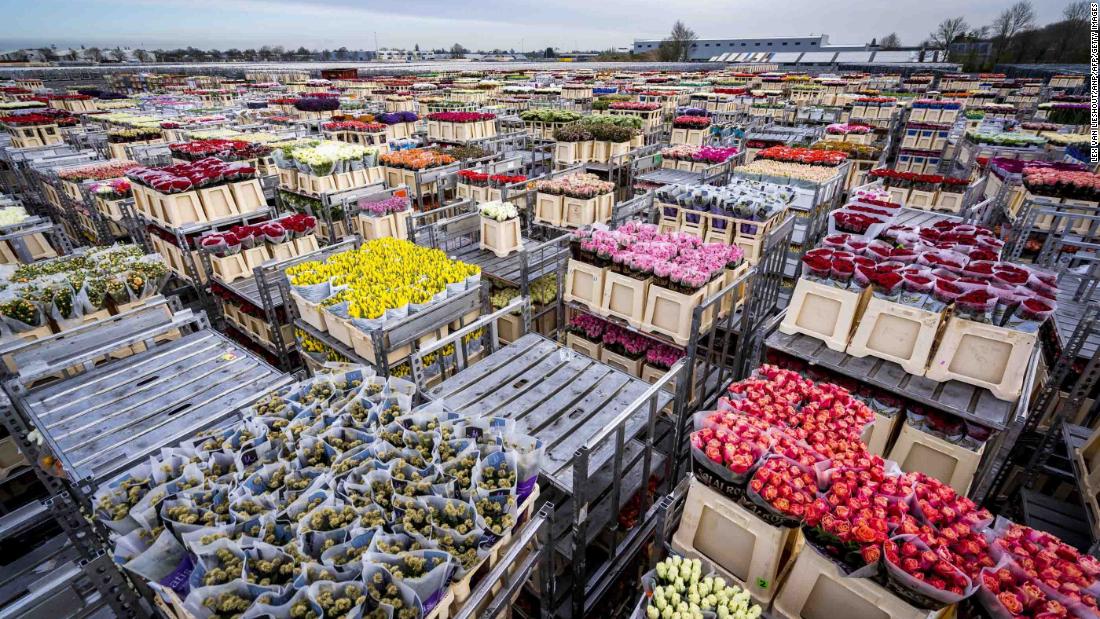 Flowers are stored prior to their destruction at a flower auction in Aalsmeer, Netherlands, on March 16. Lower demand due to the coronavirus outbreak is threatening the Dutch horticultural sector, forcing the destruction of products.